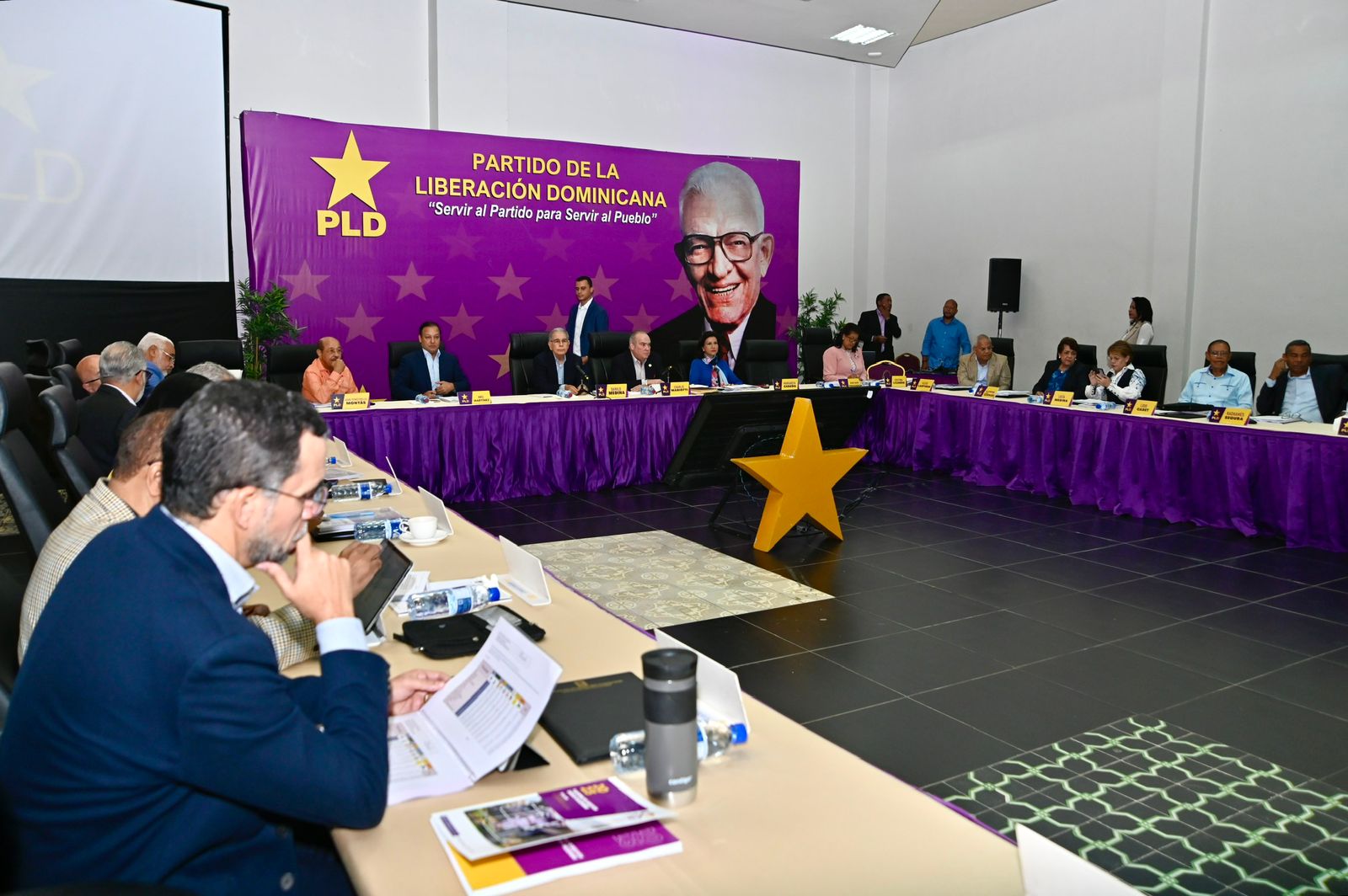 PLD insiste en consulta temprana para definir aspirante presidencial pese a medida del TSE