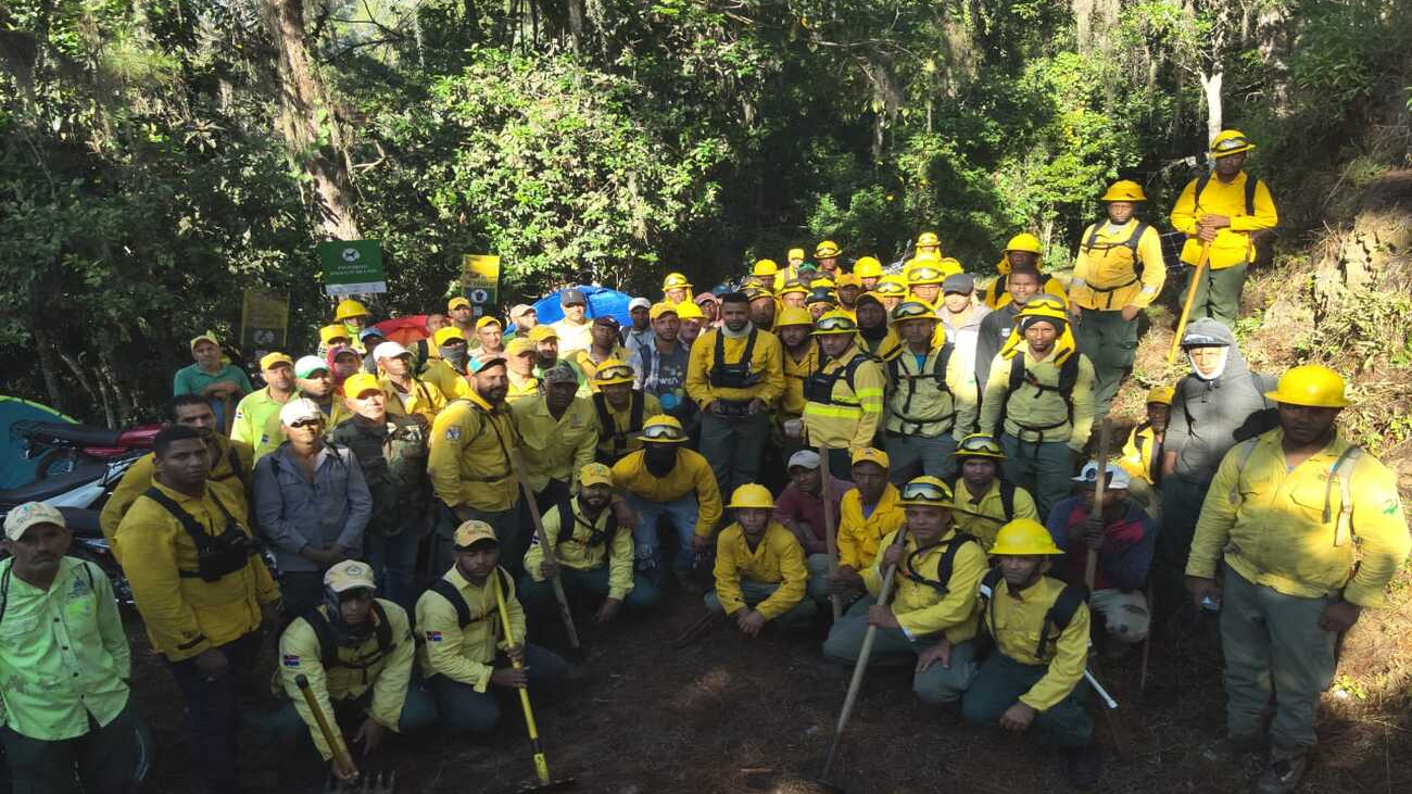 Medio Ambiente avanza en liquidación de incendio al norte del Parque Nacional Armando Bermúdez