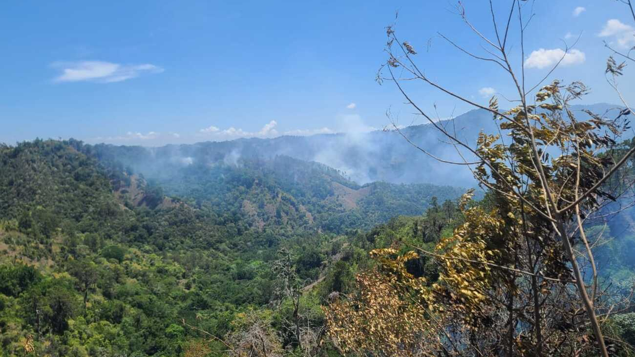Ministerio de Medio Ambiente combate incendios forestales en Jánico y Barahona