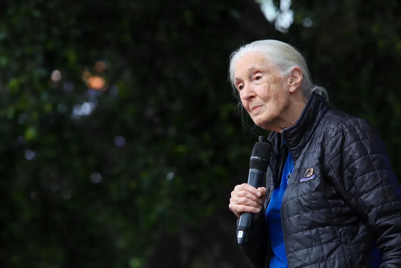 Muere a los 91 años la etóloga británica Jane Goodall, experta mundial en chimpancés