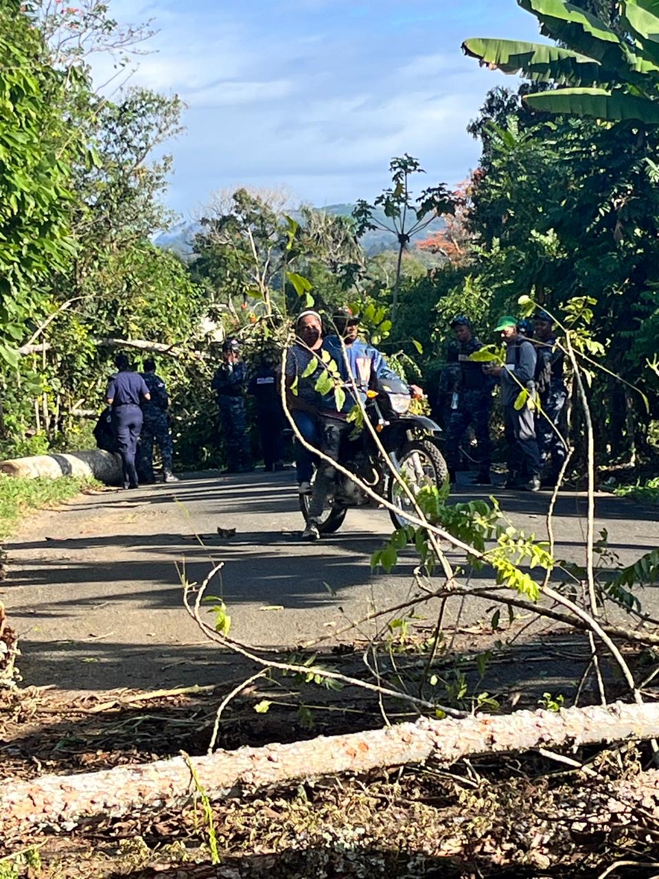 Edeeste informa interrupción del servicio eléctrico en Peralvillo se debe a corte de árboles por protesta de asfaltado