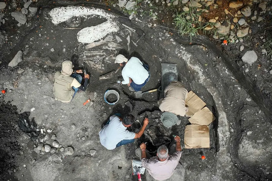 Hallan fósiles de un perezoso gigante y un mastodonte de al menos hace 10.000 años en Costa Rica Hallan fósiles de un perezoso gigante y un mastodonte de al menos hace 10.000 años en Costa Rica