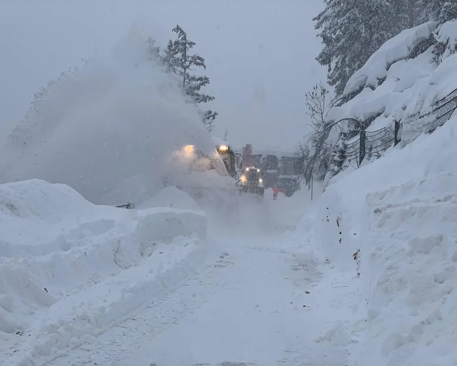 Las condiciones climáticas impiden rescate de los 8 esquiadores muertos en avalancha en EE.UU. Las condiciones climáticas impiden rescate de los 8 esquiadores muertos en avalancha en EE.UU.