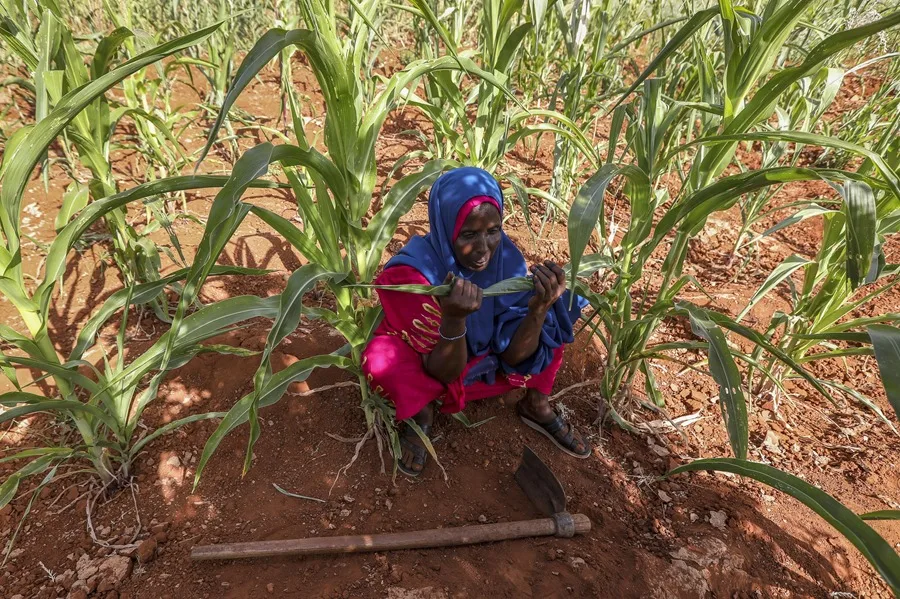 Save the Children: La crisis de hambre en Somalia empeora por el precio del combustible