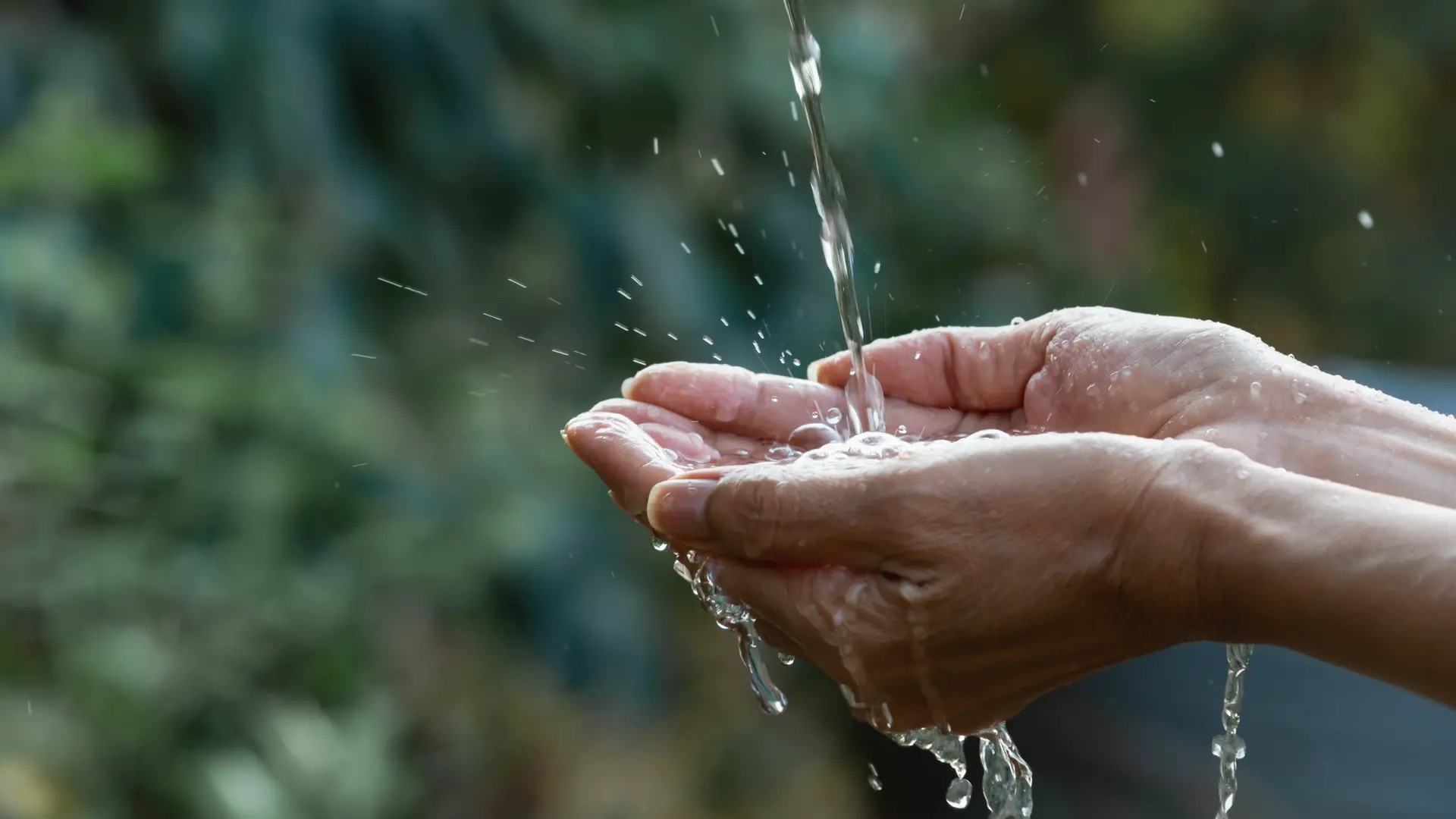 Día Mundial del Agua se celebra este 22 de marzo Día Mundial del Agua se celebra este 22 de marzo
