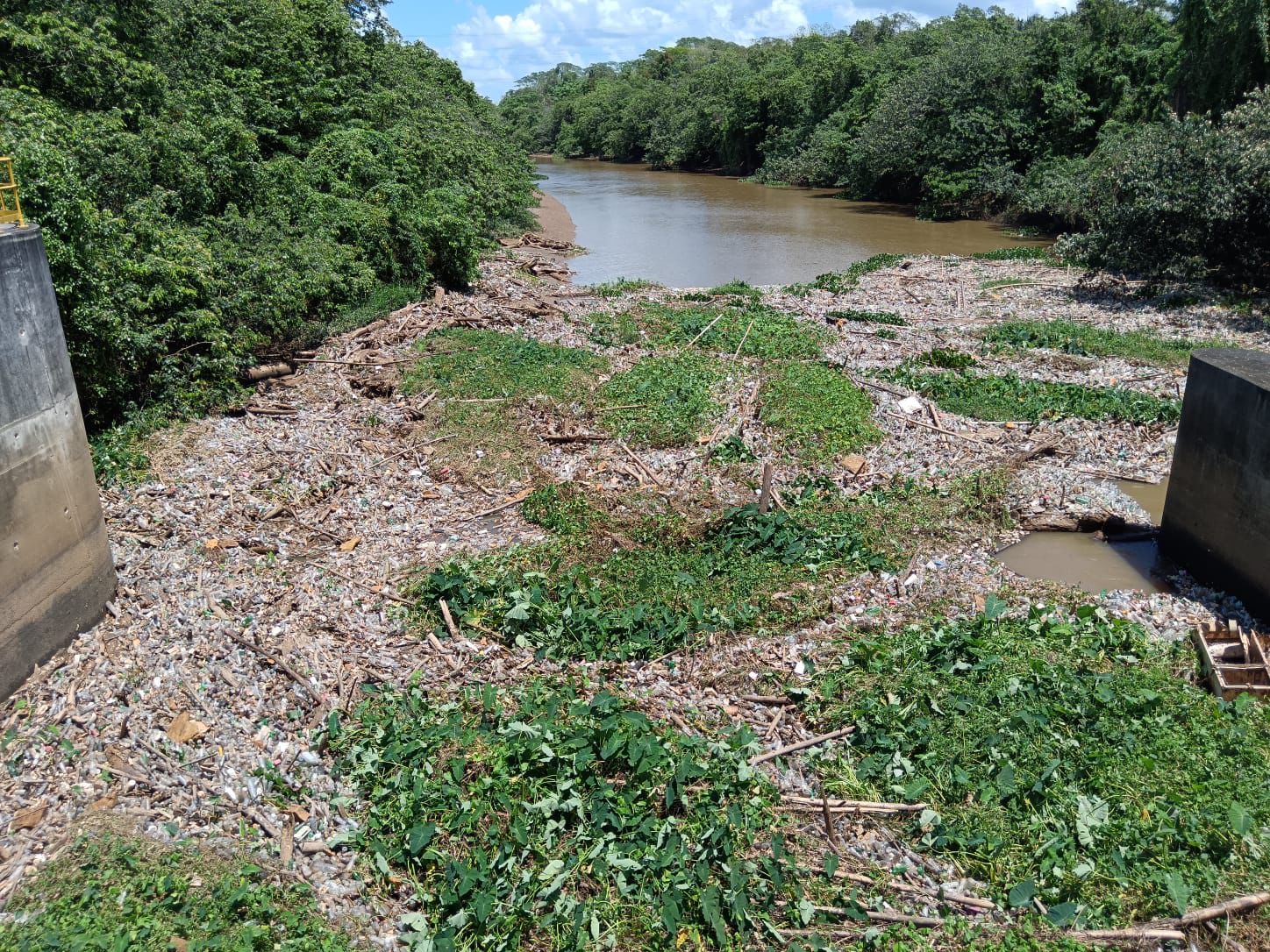 Toneladas de desechos obligan sacar de servicio acueducto Barrera de Salinidad