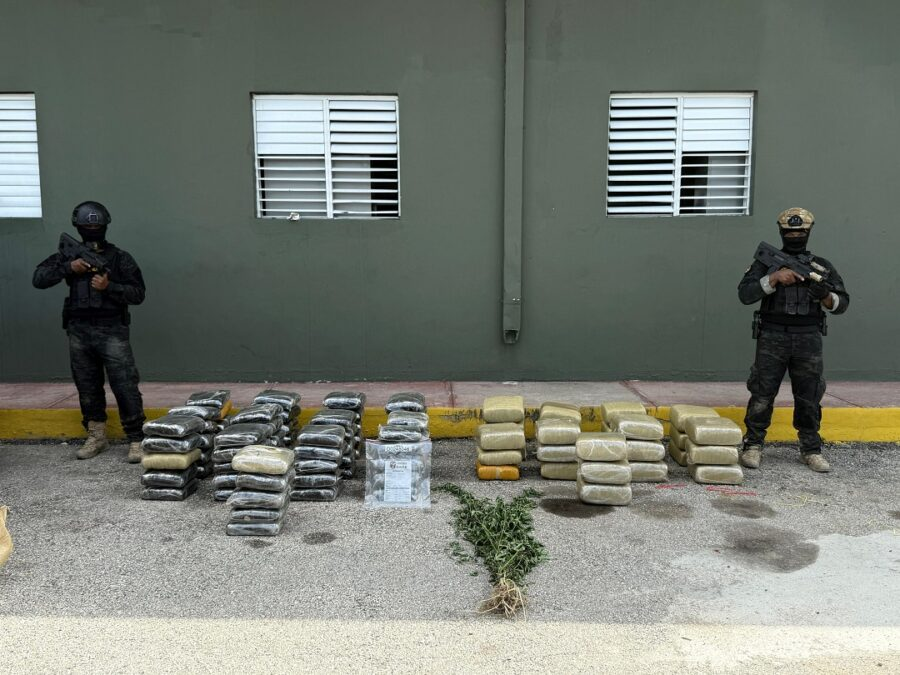 DNCD da duro golpe al narcotráfico: incautan más de 600 libras de marihuana en Elías Piña