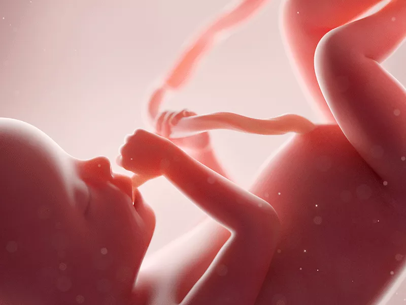 Hallan feto de aproximadamente 16 semanas en un solar baldío del sector Villa Cerro, en Higüey