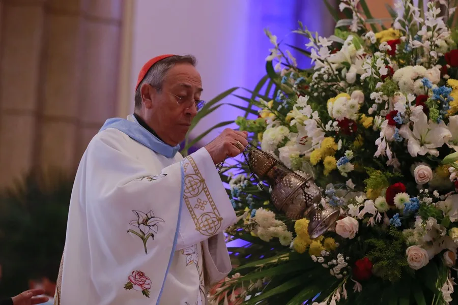 El cardenal de Honduras pide «humanizar» el país y condena el narcotráfico y la corrupción