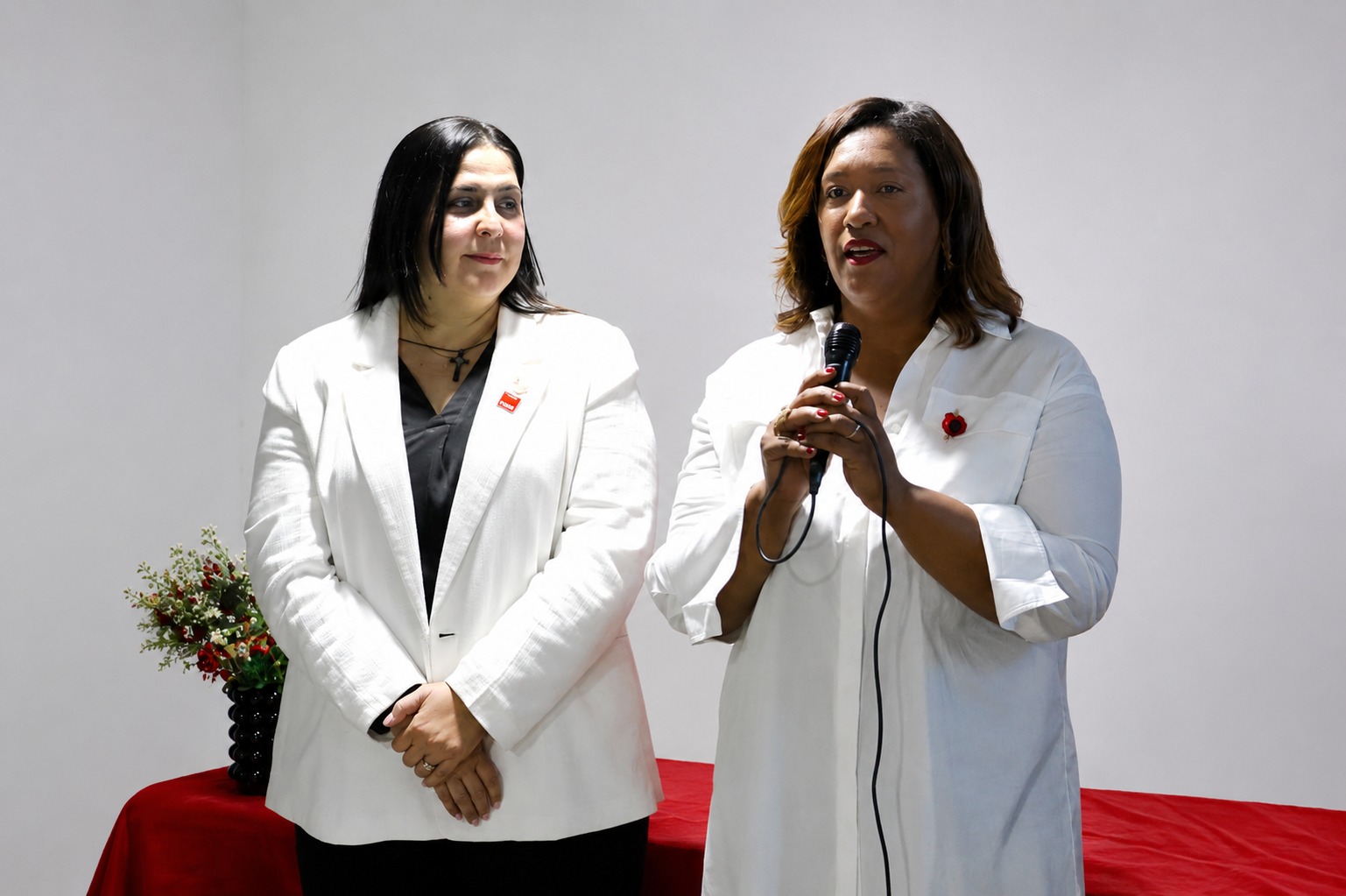 Lucirys Mateo asume presidencia de la Sociedad de Arquitectos de la República Dominicana para el periodo 2026 – 2028