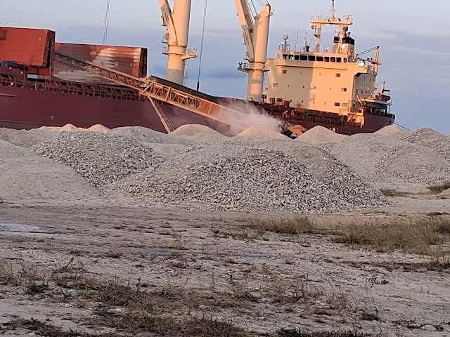 COALICIÓN EXIGE DETENER EXPLOTACIÓN ILEGAL EN EL SUR COALICIÓN EXIGE DETENER EXPLOTACIÓN ILEGAL EN EL SUR