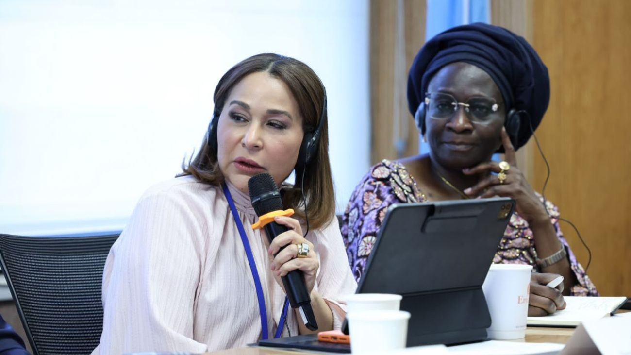 Directora Supérate destaca la estrategia de protección social en la República Dominicana durante participación en la ONU Directora Supérate destaca la estrategia de protección social en la República Dominicana durante participación en la ONU