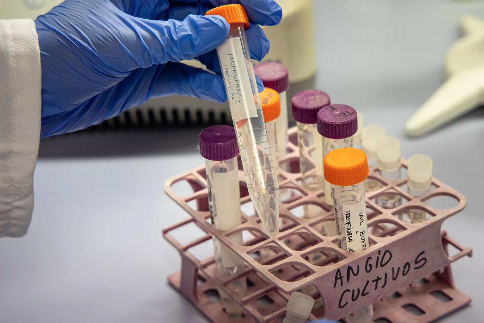 Investigadores trabajan en el desarrollo de una terapia génica para prevenir el alzhéimer Investigadores trabajan en el desarrollo de una terapia génica para prevenir el alzhéimer