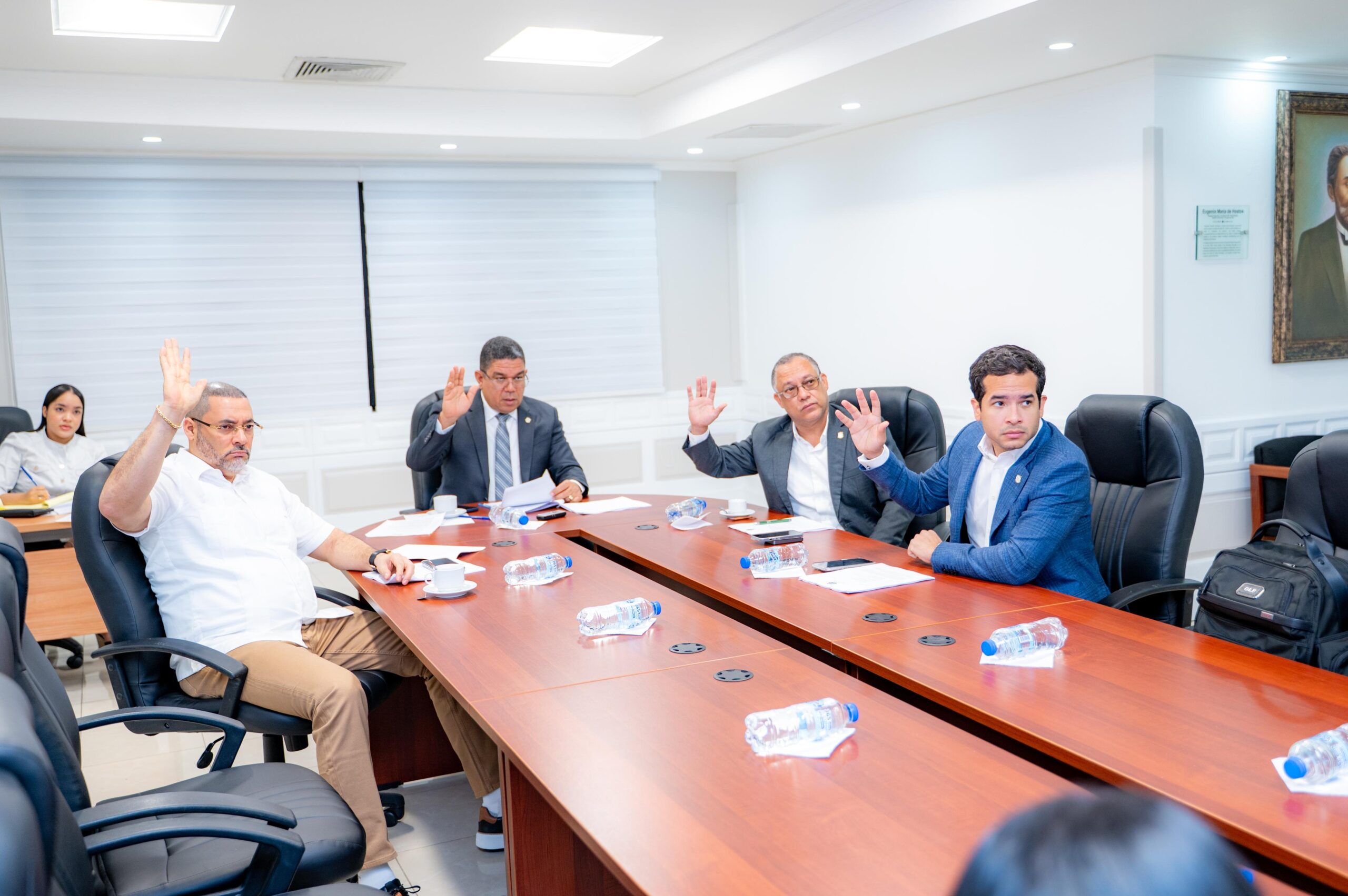 Comisión Especial avanza estudio proyectos modifican Ley de Salud Mental
