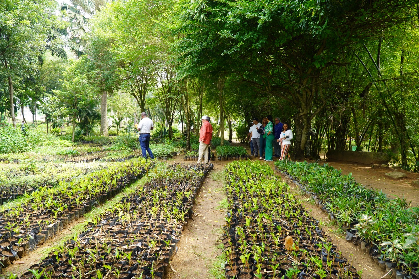 Digecac realizará Primer Festival de Plantas 2026 Digecac realizará Primer Festival de Plantas 2026
