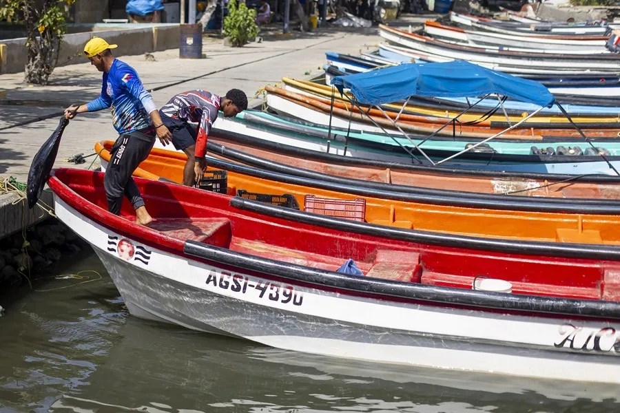 Pescadores y comerciantes, en la lucha por su sustento diario tras los terremotos en Venezuela Pescadores y comerciantes, en la lucha por su sustento diario tras los terremotos en Venezuela
