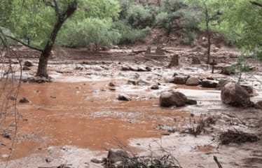 Inundaciones repentinas en el Gran Cañón dejan unos 15 desaparecidos y 62 evacuados