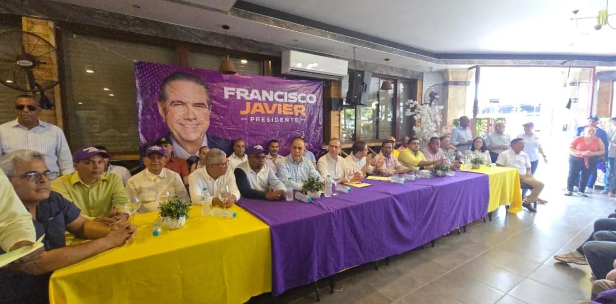 Francisco Javier García pide a partidos dejar al PLD resolver su consulta interna sin interferencias Francisco Javier García pide a partidos dejar al PLD resolver su consulta interna sin interferencias