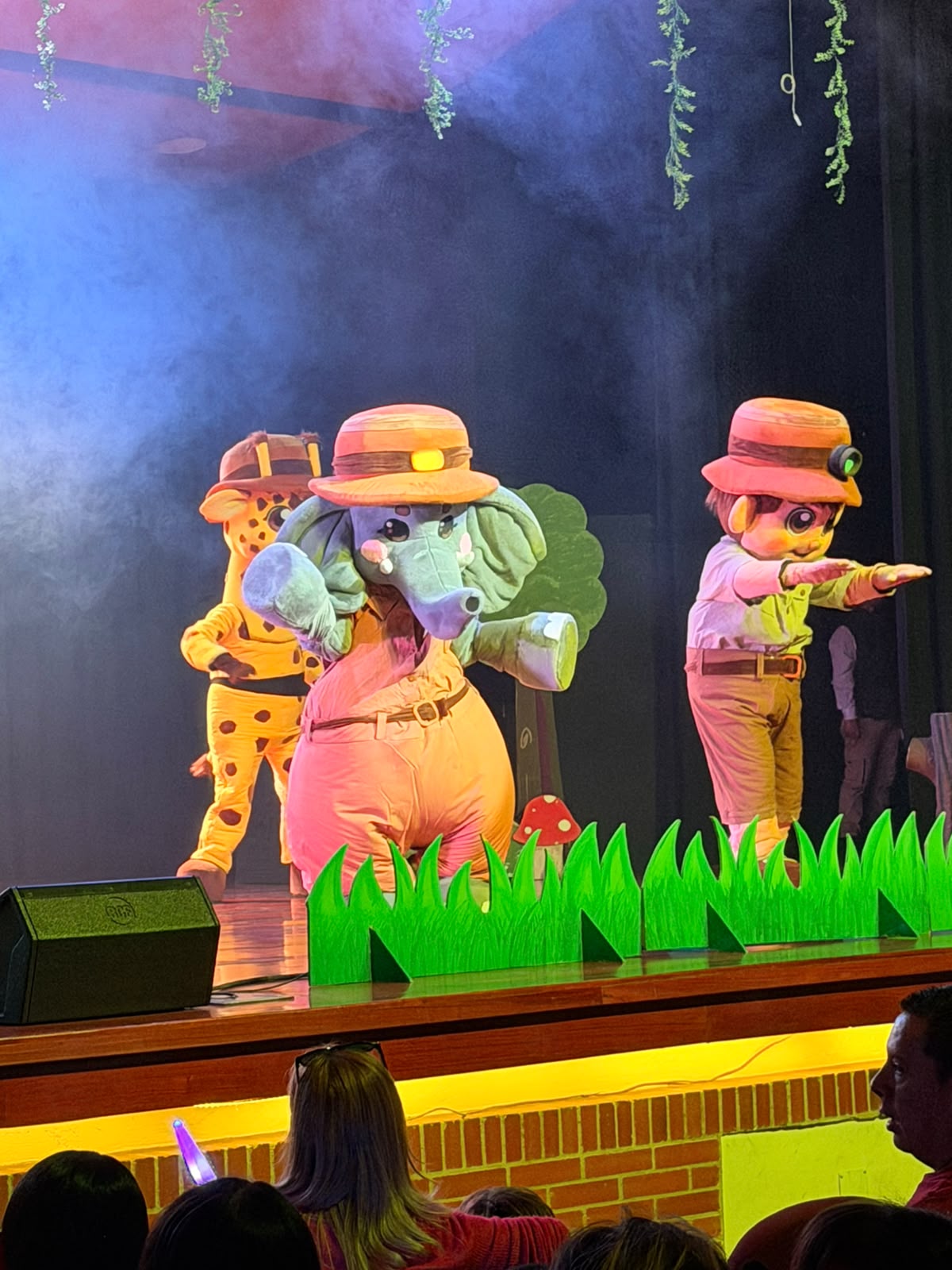Fiesta en el Safari llega por primera vez a República Dominicana Fiesta en el Safari llega por primera vez a República Dominicana