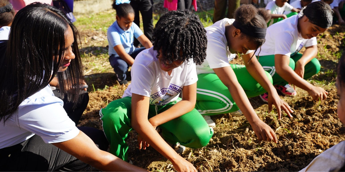Escuelas que cultivan: Educación reconocerá buenas prácticas en huertos escolares