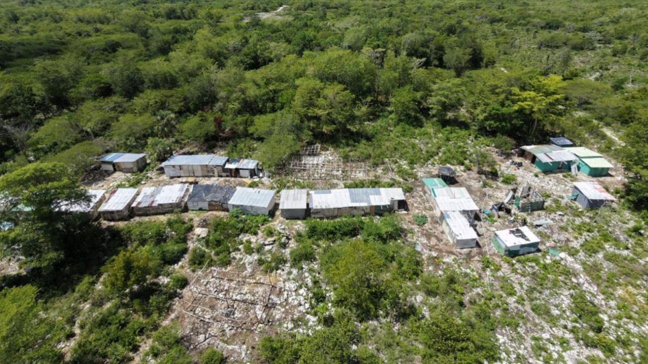 Medio Ambiente desmonta 73 estructuras ilegales en área protegida de Hoyo Claro