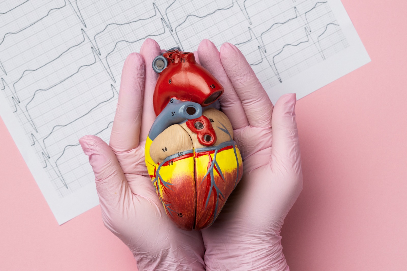 Obesidad y corazón: el vínculo que exige una mirada integral